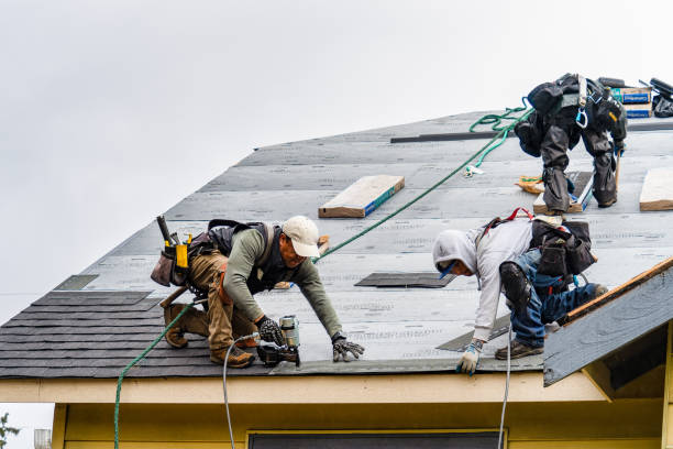 Professional Storm Damage Roof Repair technician working in Hebron, NE